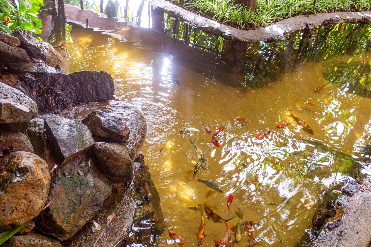 Hotel Alemao Beach De Ilhabela Ngoại thất bức ảnh